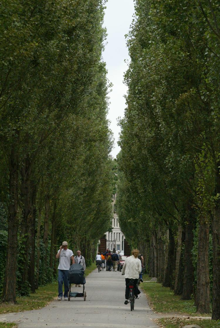 Foto: Jesper Stormly Hansen/POLFOTO