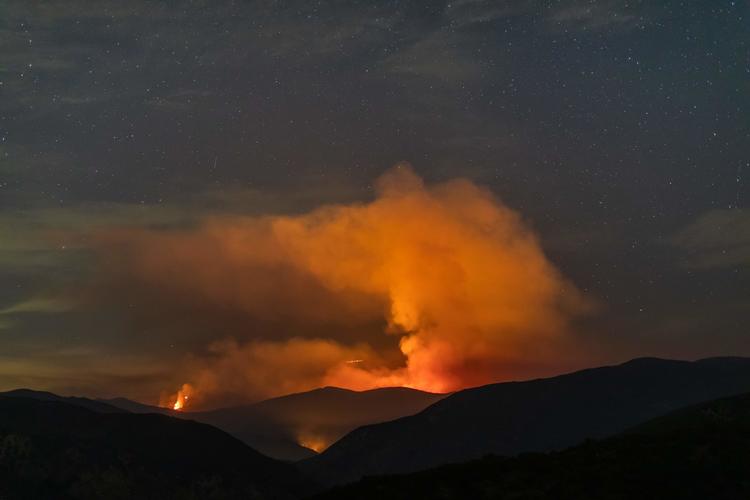Et af stederne, der er ramt af skovbrande, er Angeles National Forest, nord for Los Angeles. Foto: Apu Gomes/Ritzau Scanpix