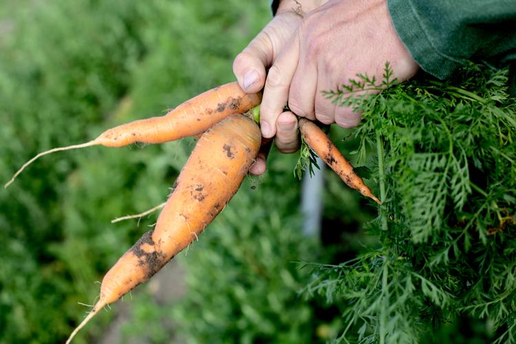 Foto: Nanna Navntoft