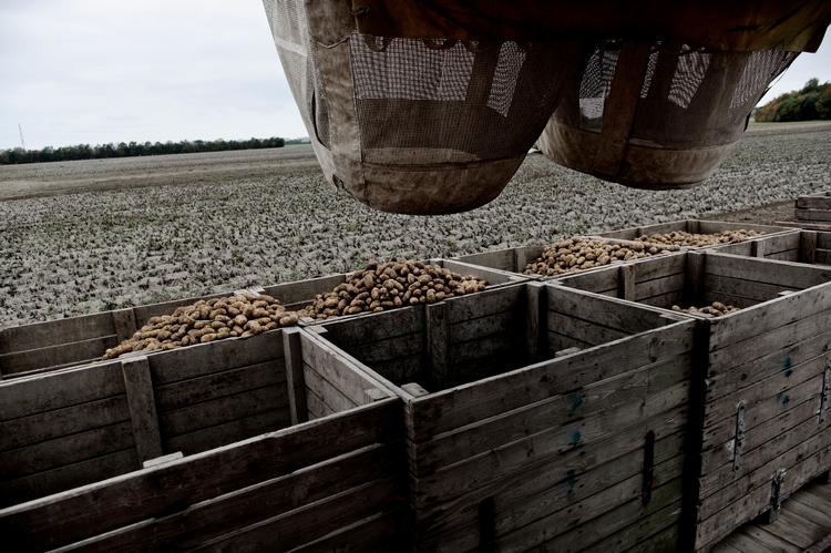 Foto: Gorm Branderup/POLFOTO