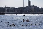 Københavns teknik- og miljøborgmester Ninna Hedeager (EL) håber, at en bebudet lovændring kan forbedre Københavns muligheder for at kræve bopælspligt i nye boliger. Foto: Finn Frandsen/POLFOTO