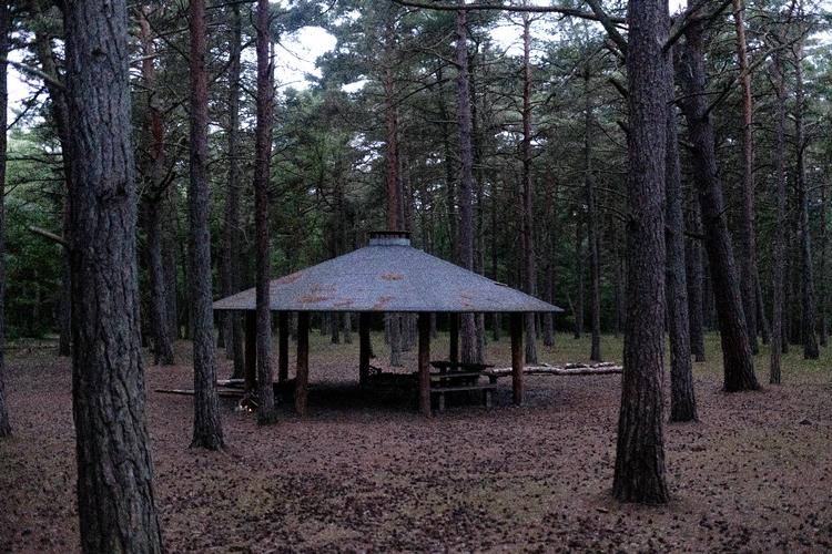 Det var ved denne shelterplads i Nordskoven på Bornholm nær Rønne, at den 28-årige mand blev dræbt i juni. Foto: Mikkel Hørlyck/POLFOTO