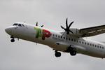 Blandt andet flyselskabet TAP Portugal leaser fly fra NAC. Arkivfoto Rafael Marchante