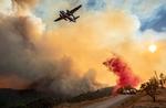 Et fly kaster brandhæmmende væske ned over den gruppe af brand, der bliver kaldt LNU Lightning Complex. En lang række af skovbrande i Californien er torsdag lokal tid vokset hastigt i størrelse.  Foto: Josh Edelson/Ritzau Scanpix