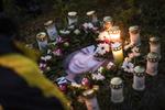 Natten til 10. juli for fire år sien forsvandt pigen Emilie Meng. Ved juletid samme år blev liget af hende fundet i Regnemark Bagge nær Borup på Midtsjælland. Gerningsmanden er endnu ikke fundet. Foto: Anthon Unger/POLFOTO