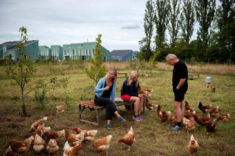 Alle skal læge to timers arbejde om ugen. Erlend kan godt lide at fodre hønsene, selv om han erkender han ikke altid når de to timer. Foto: Annika Byrde