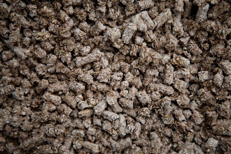 Danmark importerer tre millioner tons træpiller, og vi får mere energi fra træpiller end alle vindmøller tilsammen. Foto: Tobias Nicolai/POLFOTO