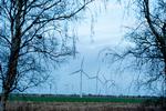Danmark har besluttet at reducere sin CO2-udledning med 70 procent. Det er meget ambitiøst. Hvordan gør vi det bedst? Foto: René Schütze/Fotograf René Schütze