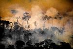 Klimakrisen får mest opmærksomhed i medierne, når den er sensationel og æstetisk smuk. Og det er et problem, mener Mikkel Krause Frantzen.  Foto: Christian Braga/© Christian Braga / Greenpeace