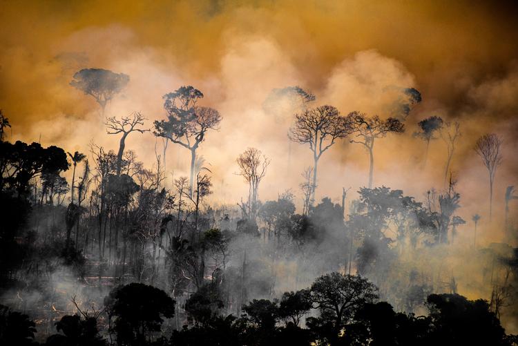 Klimakrisen får mest opmærksomhed i medierne, når den er sensationel og æstetisk smuk. Og det er et problem, mener Mikkel Krause Frantzen.  Foto: Christian Braga/© Christian Braga / Greenpeace