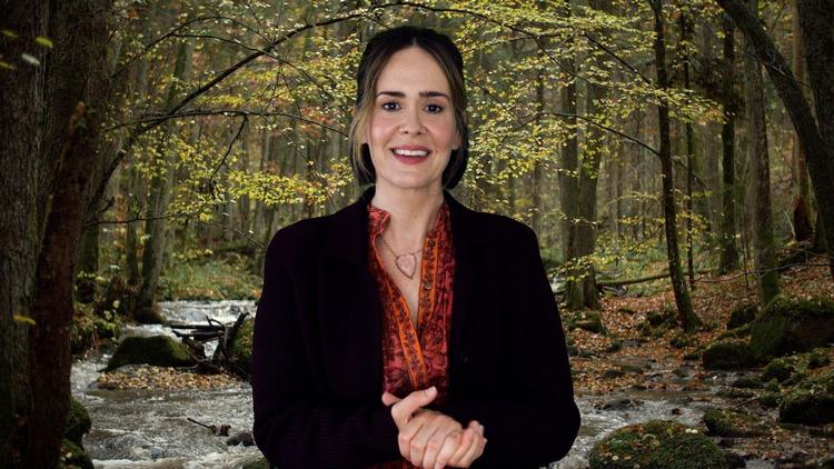 Sarah Paulson er en af fem skuespillere, der har indspillet hver deres monolog til "Coastal Elites". Her giver hun den som vært af et online Mindful Meditation show. Men hun har svært ved at efterleve sine egne gode råd, da hun bliver coronaisoleret med sin konservative familie. 