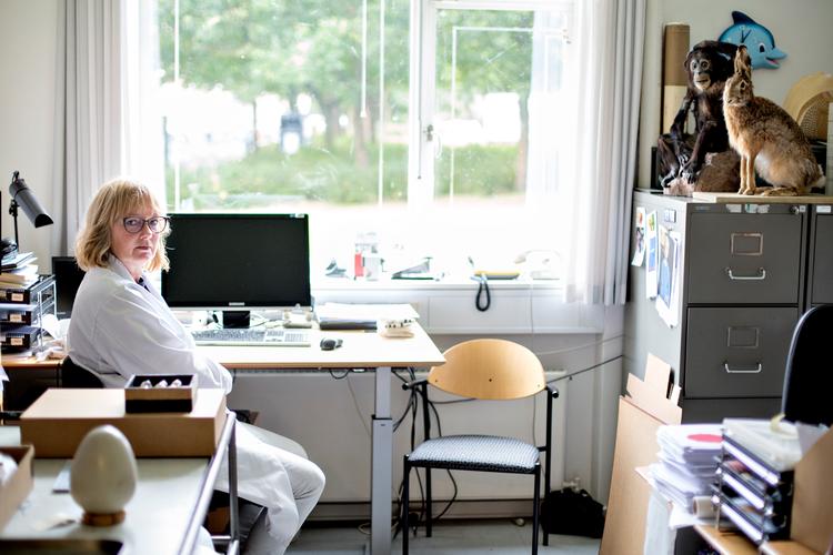 Mary Marie Kromann oplevede, at hendes hjerne fokuserede på en helt anden måde, da hun tilbage i 2008 fik medicin mod ADHD. Foto: Mathilde Bech