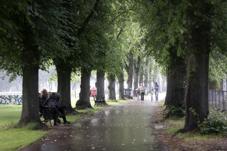 Nørrebroparken har i den seneste tid harft udfordringer med mange mennesker i aften- og nattetimerne. Foto: Andreas Merrald/POLFOTO
