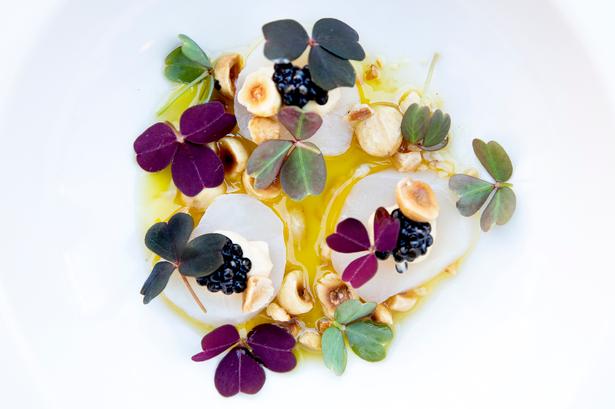 Foto: Finn Frandsen/POLFOTO