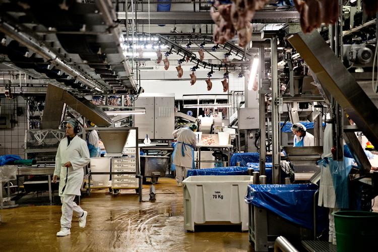 Omfanget af sexisme skal kortlægges, og ikke kun i mediebranchen, mener flere fagforbund. Foto: Joachim Adrian Foto: Joachim Adrian/POLFOTO