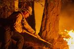     MONROVIA, CA - SEPTEMBER 11: Los Angeles County firefighters, using only hand tools, keep fire from jumping a fire break at the Bobcat Fire in the Angeles National Forest on September 11, 2020 north of Monrovia, California. California wildfires that have already incinerated a record 2.3 million acres this year and are expected to continue till December. The Bobcat Fire has grown to more than 26, 000 acres. David McNew/Getty Images/AFP == FOR NEWSPAPERS, INTERNET, TELCOS &amp; TELEVISION USE ONLY ==   Foto: David Mcnew/Ritzau Scanpix