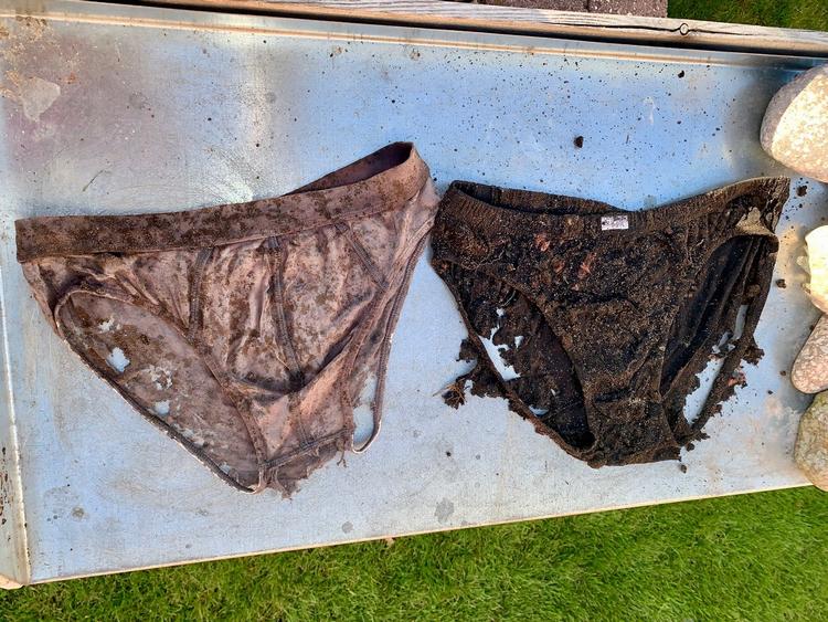De lyse underbukser har været gravet ned i en have med masser af kompost, mens de mørke underbukser har tilbragt 2 måneder i hedejord. De mørke er mest formuldet. Foto: Privat