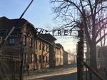 Næsten halvdelen af de adspurgte i undersøgelsen kunne ikke nævne navnet på en koncentrationslejr eller ghetto fra 2. Verdenskrig Foto: Erik Jensen/POLFOTO