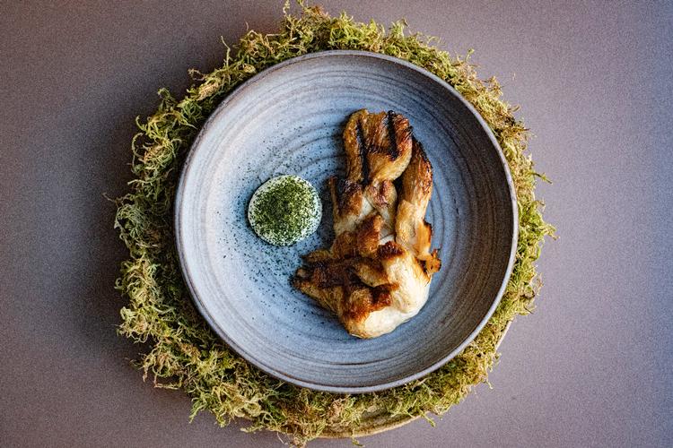 Foto: Marius Renner/POLFOTO