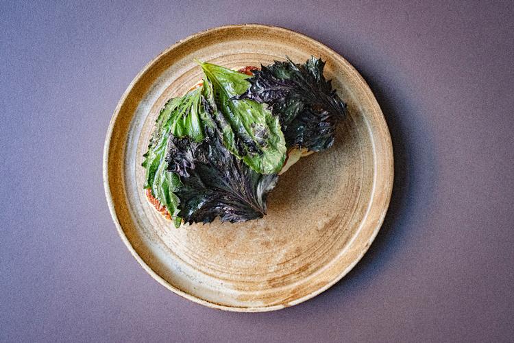 Foto: Marius Renner/POLFOTO