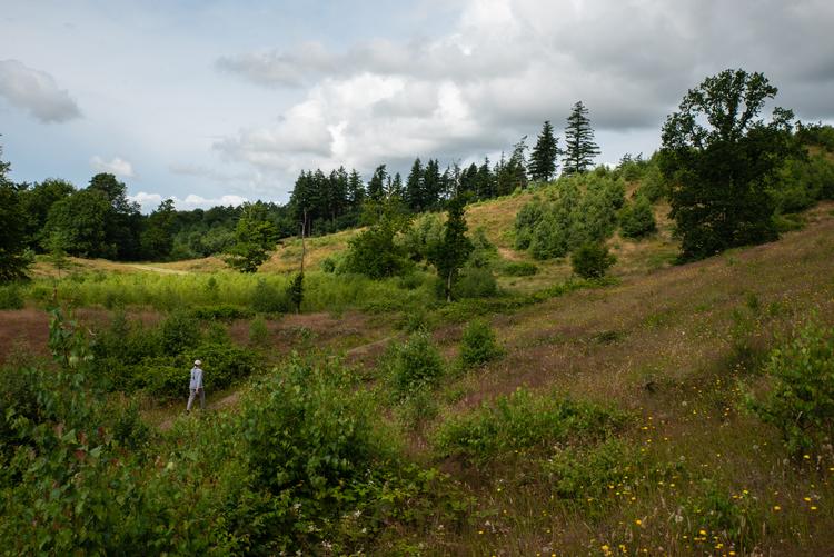 Svanninge Bakker - eller de fynske alper, som nogle kalder dem - giver sved på panden, for det går godt opad. Her på stien mod Lerbjerg, Danmarks fjerdehøjeste punkt. Foto: Jóhann Thór Haahr Hansen