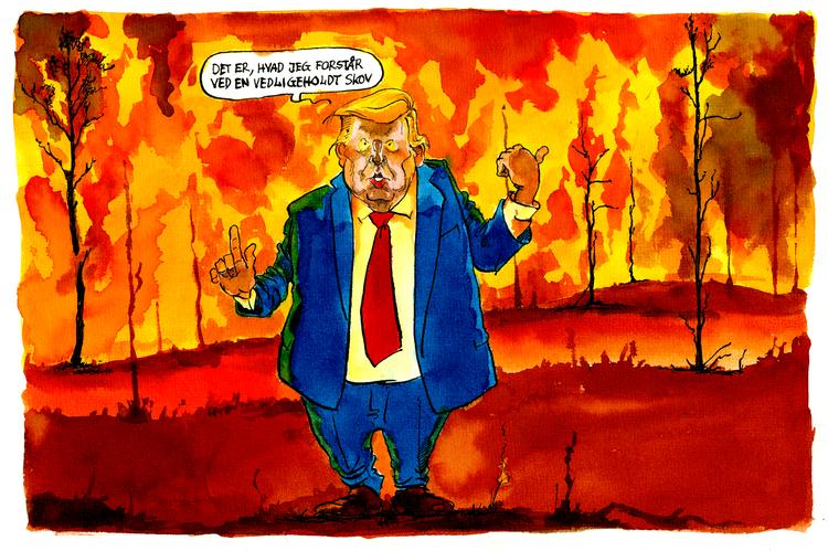 Foto: Roald Als/POLITIKEN