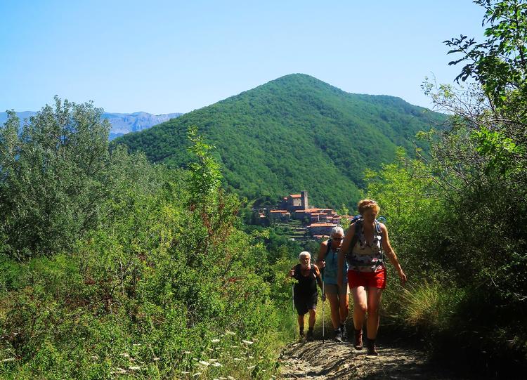 En samlet, svedende flok er på vej ved bjerget Monte Tontorone. I baggrunden ses Roggio med det gamle kirketårn, der dominerer øverst i byen. Foto: Ulla Lund