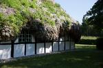 Tanghusene på Læsø er en af turistattraktionerne. (arkivfoto). Foto: Louise Herrche Serup/POLFOTO