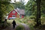Rødmalet idyl i Sverige har også været eftertragtet i coronasommeren, fortæller mægler fra Småland. Foto: Niels Hougaard/POLFOTO