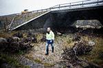 En faunapassage under en motorvej er med til at sikre, at dyr som kronvildt ikke 'hegnes' ind af vejen. Arkivfoto. Foto: Casper Dalhoff/POLFOTO