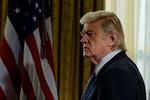 Brendan Gleeson spiller USA's præsident, Donald Trump, som Marlon Brando spillede Don Corleone i Coppolas mesterværk 'The Godfather'. Men med en snert af pastiche.  