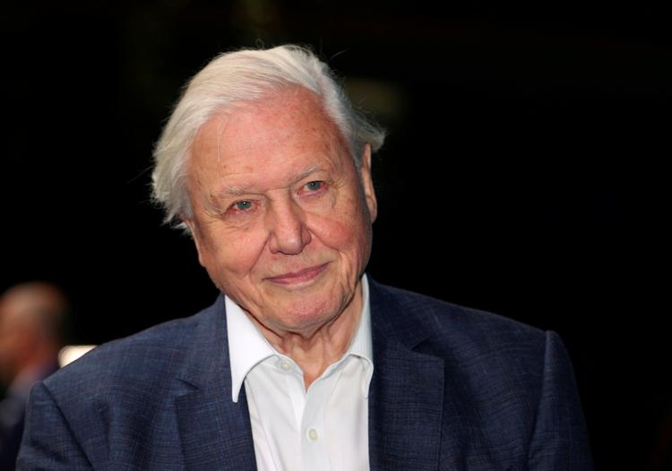 David Attenborough optrådte på tv for første gang i 1952. Arkivfoto Hannah Mckay/Ritzau Scanpix
