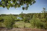 Selvom det er et tema i forståelsespapir, ville regeringen skyde naturpakke til næste år. Det er nu lavet om. Foto: Miriam Dalsgaard/POLFOTO