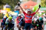 Mads Pedersen kan lade jublen få frit løb efter at have krydset målstregen som første mand på 3. etape i BinckBank Tour foran den belgiske indehaver af den grøn-sorte førertrøje Jasper Philipsen og tyskeren Pascal Ackermann yderst til højre. Hollænderen Danny van Poppel i hvidt og belgieren Tim Merlier besætter de næste pladser.
 Foto: Kristof Van Accom/Ritzau Scanpix