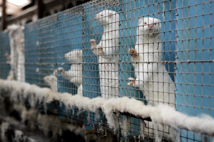 Foto: Finn Frandsen/POLFOTO