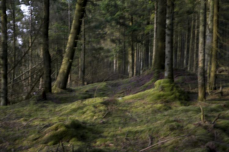 Foto: Louise Herrche Serup/POLFOTO