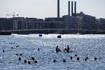K vil ikke gå med til et anlæg, der et par gange om året kan sende overløbsvand ud i Københavns Havn.    Foto: Finn Frandsen/POLFOTO
