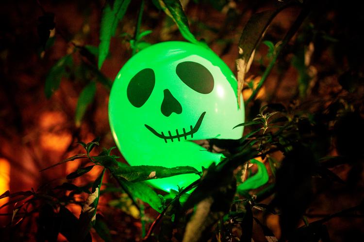 Halloween er blevet langt mere populær de seneste år - men i dag skal man holde igen med løjerne..  Foto: Miriam Dalsgaard/POLFOTO