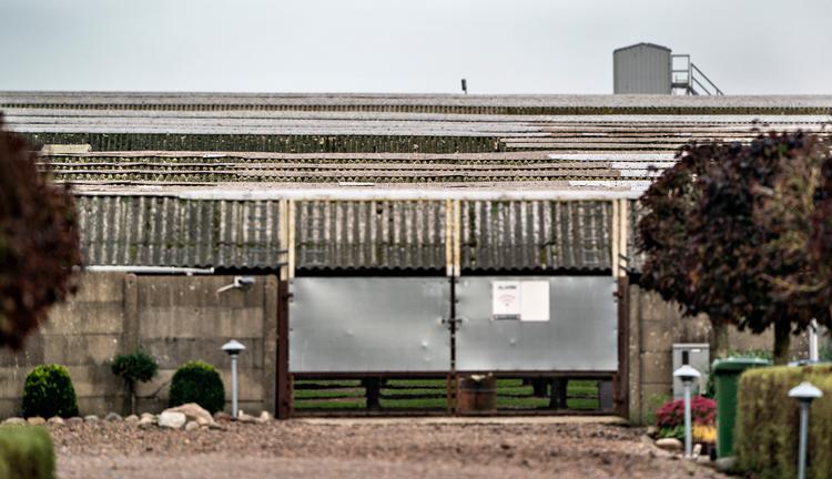 Foto: Henning Bagger/Ritzau Scanpix