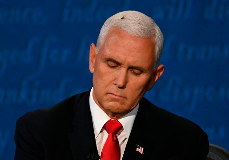 Selv om der blev debatteret politik i en mere sober tone mellem Mike Pence og Kamala Harris, end under debatten mellem Trump og Biden, er det store samtaleemne blevet et helt andet på de sociale medier (Photo by Eric BARADAT / AFP)   Foto: Eric Baradat/Ritzau Scanpix