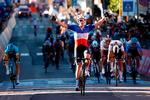 Franskmanden Arnaud Démare sejrer så sikkert på 6. etape foran australieren Michael Matthews, at han har tid til at juble. Yderst til venstre krydser Jakob Fuglsangs italienske holdkammerat Fabio Felline stregen som nr. 3, efter at danskeren, der anes i det lyseblå Astana-dress bag Démare, havde kørt spurten for ham.
 Foto: Luca Bettini/Ritzau Scanpix