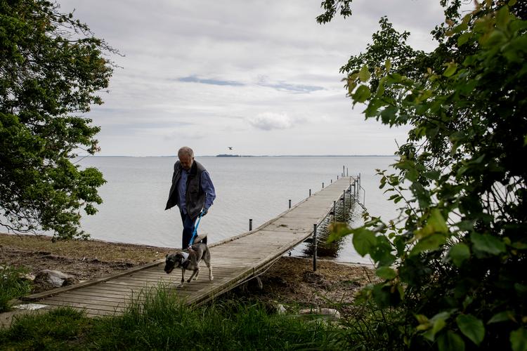 Mange går tur med hunden hver dag uden at betragte det som motion.  Foto: Mads Nissen/POLFOTO