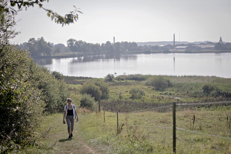 Både vandring og podcasts kalder på fordybelse, og kombinationen af at lytte til kunst og vandre vinder frem i hele landet.  Foto: Marius Renner/POLFOTO