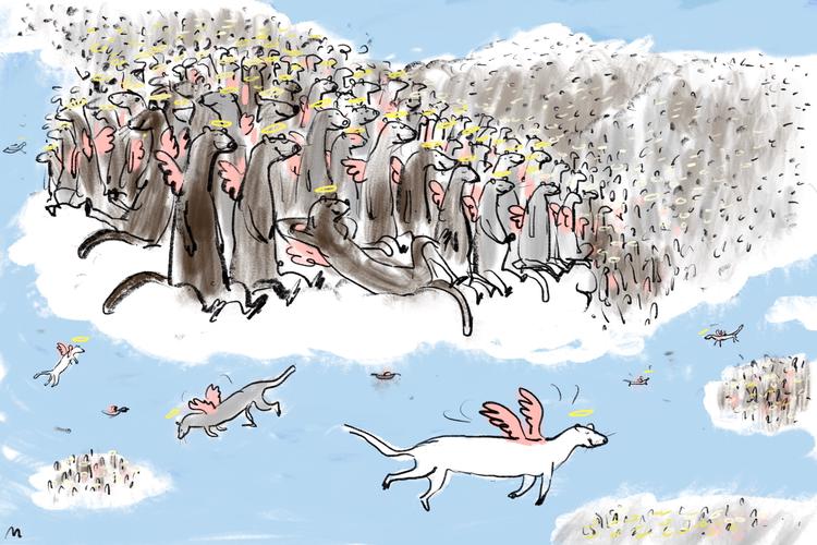 Tegning Mette Dreyer