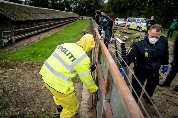 Som protest mod aflivningen af mink, nægtede en minkavler at lukke myndighederne ind på sin farm i Gjøl, så politiet måtte bruge en boltsaks for at myndighederne kunne påbegynde aflivningen af hans mink.  Foto: Mads Claus Rasmussen/Ritzau Scanpix