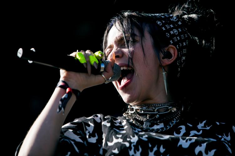 Billie Eilish talte i starten af 2020 med Greta Thunberg. Det troede hun i hvert fald.  Foto: Jens Hartmann Schmidt/POLFOTO