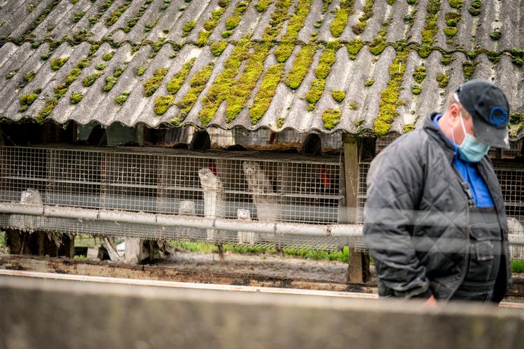 Foto: Mads Claus Rasmussen/Ritzau Scanpix