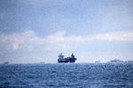 Sverige har taget det indledende skridt til at få beskyttet Øresund fra Kullen-Gilleleje i nord til Falsterbo-Stevns i syd. Foto: Finn Frandsen/POLFOTO