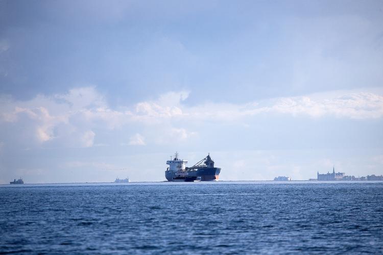 Sverige har taget det indledende skridt til at få beskyttet Øresund fra Kullen-Gilleleje i nord til Falsterbo-Stevns i syd. Foto: Finn Frandsen/POLFOTO