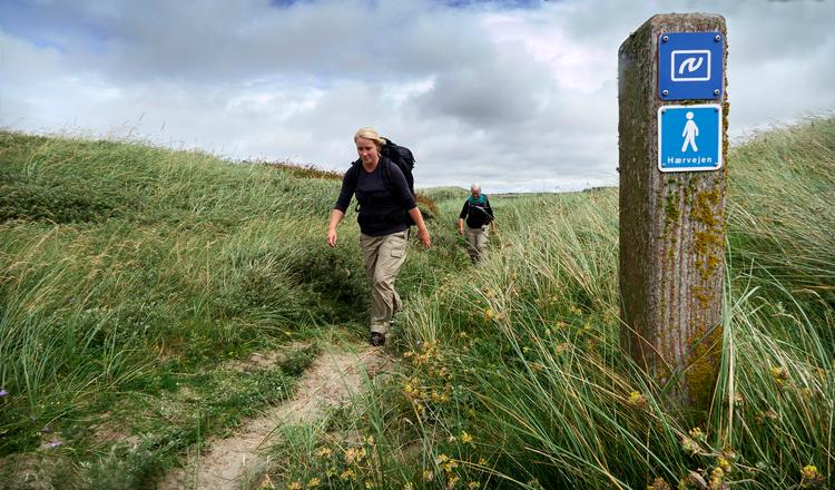 Natur, frisk luft og Vesterhavets bølger har trukket tusinder af danskere til vestkysten under coronaen. Foto: Morten Langkilde/POLFOTO